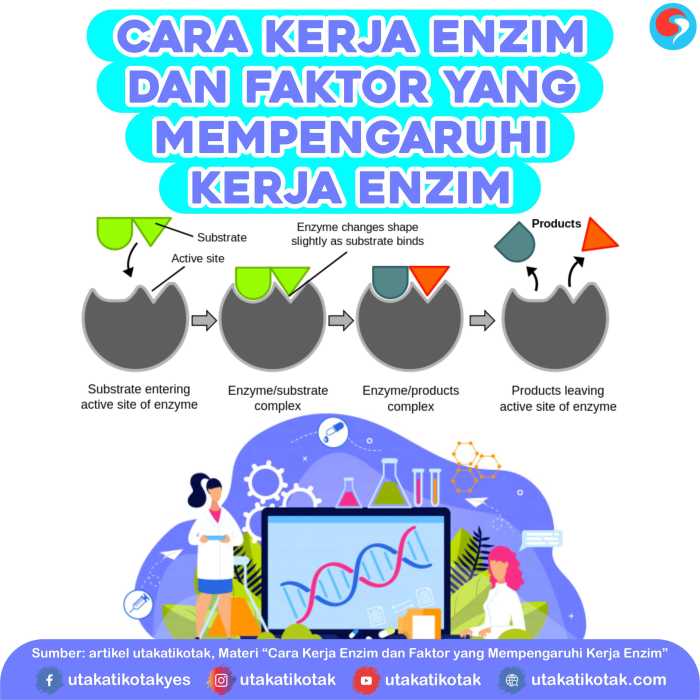 Perubahan Asam Amino pada Sisi Aktif Enzim dan Faktor yang Mempengaruhinya