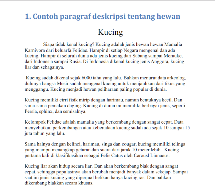 Rekomendasi Aplikasi Cek Grammar Dalam Bahasa Inggris - Hosteko Blog