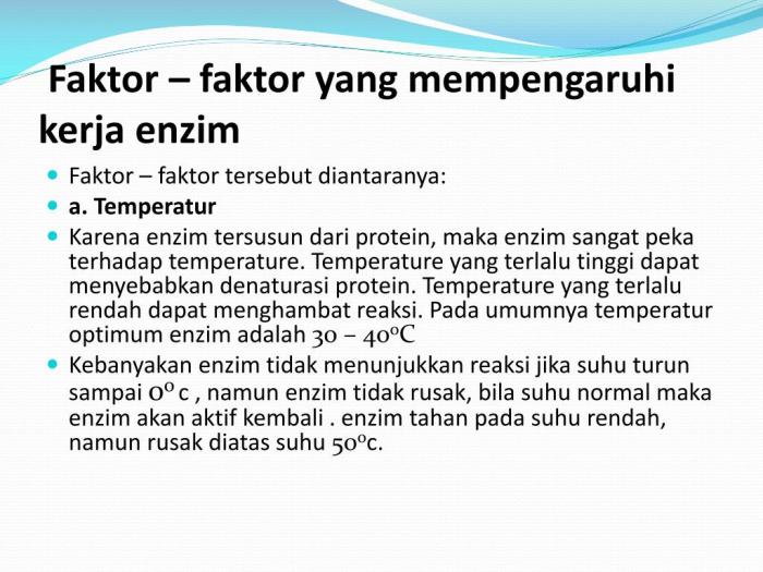 PPT - ENZIM PowerPoint Presentation, free download - ID:2440269