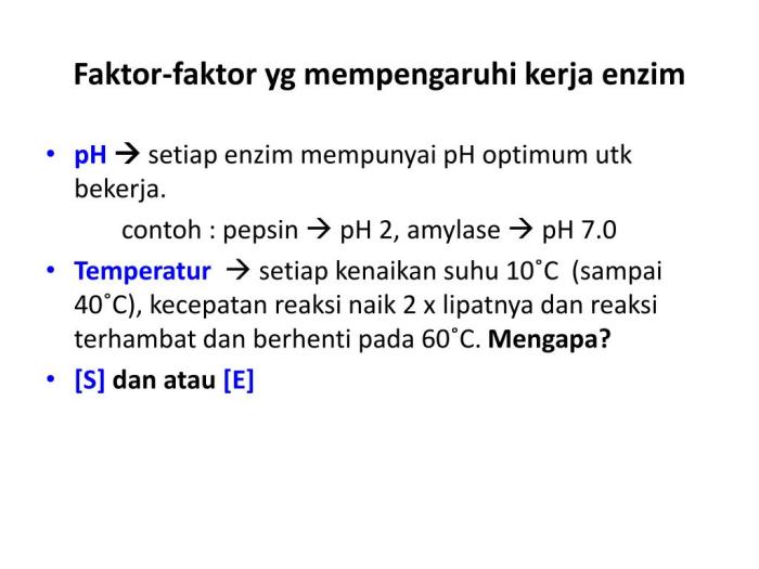 PPT - Enzim PowerPoint Presentation, free download - ID:5680273
